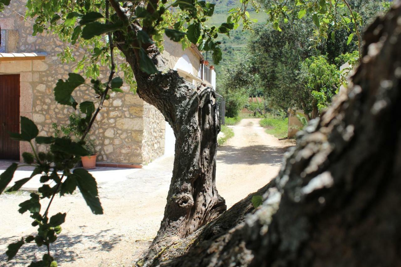Villa Rustici L'Antico Torchio Castellammare del Golfo Exterior foto